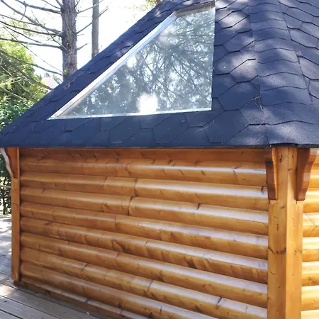 Insolite Kota Finlandais Yzengremer